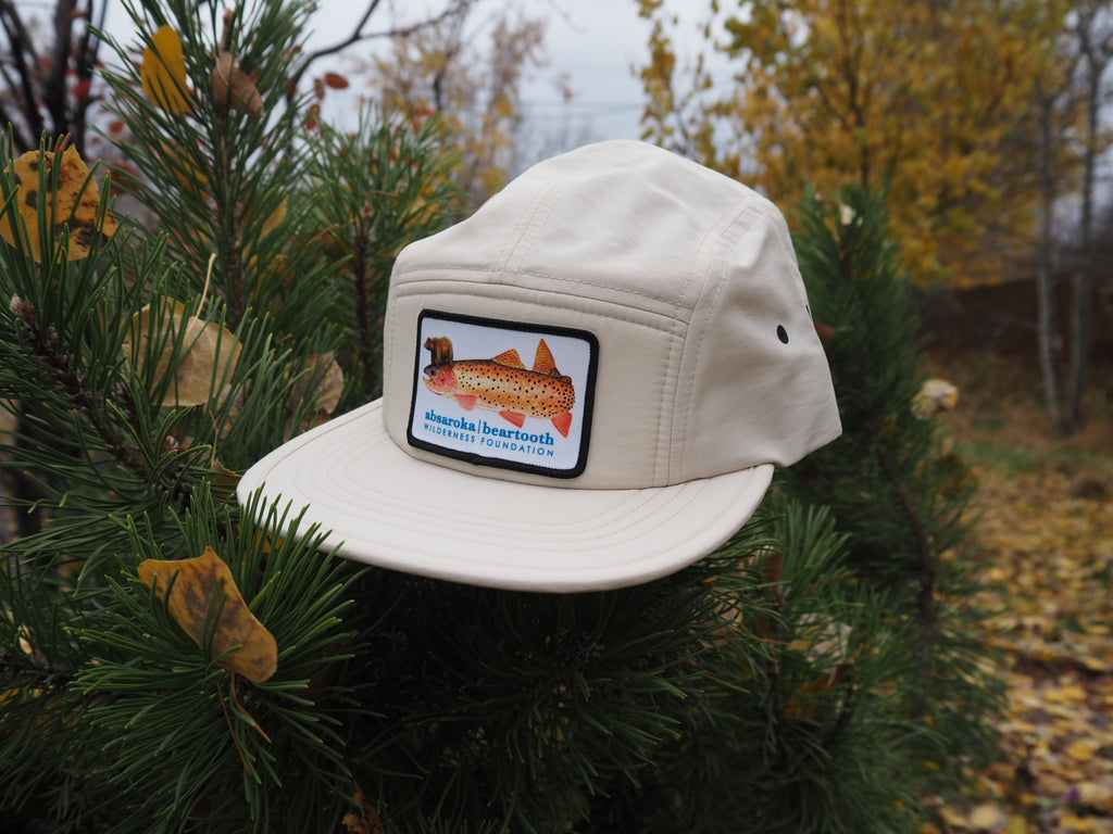 ABWF 5-panel Hat