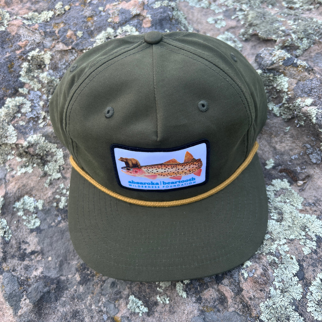 ABWF Snapback Hat