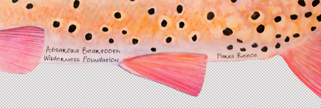 ABWF Parks Reece Die-Cut Sticker