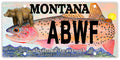 Sample License Plate