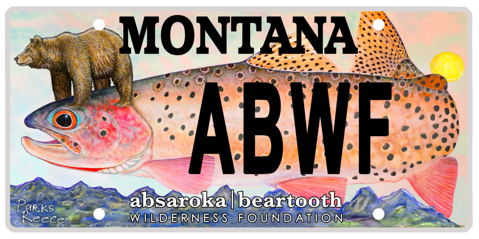 Sample License Plate